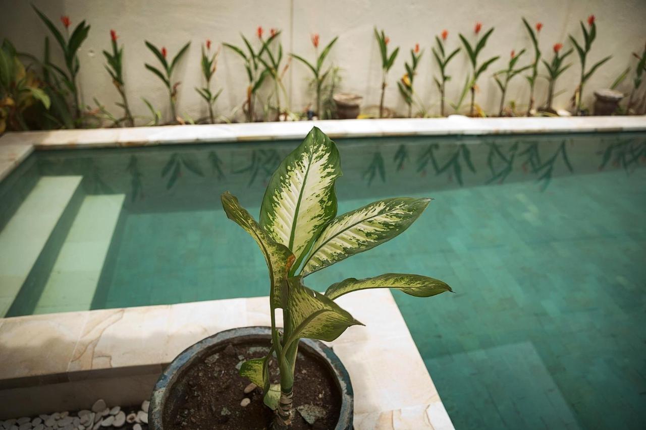Papaya Villa Sanur エクステリア 写真